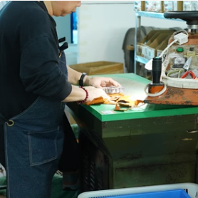 Gold hot stamping logo branding